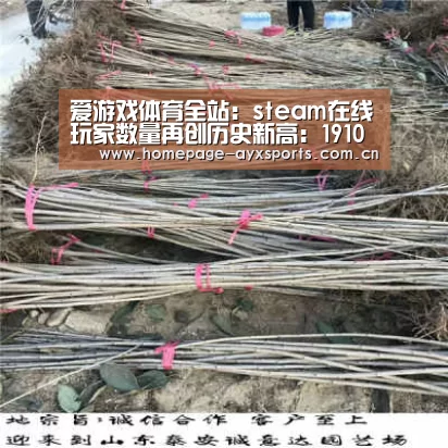 爱游戏官网