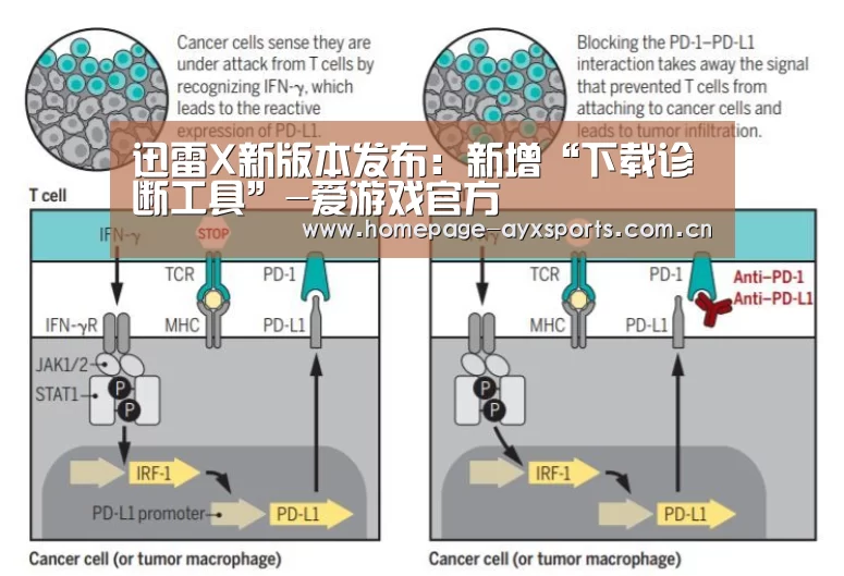 迅雷X新版本发布:新增“下载诊断工具”-爱游戏官方(图2) 爱游戏体育全站