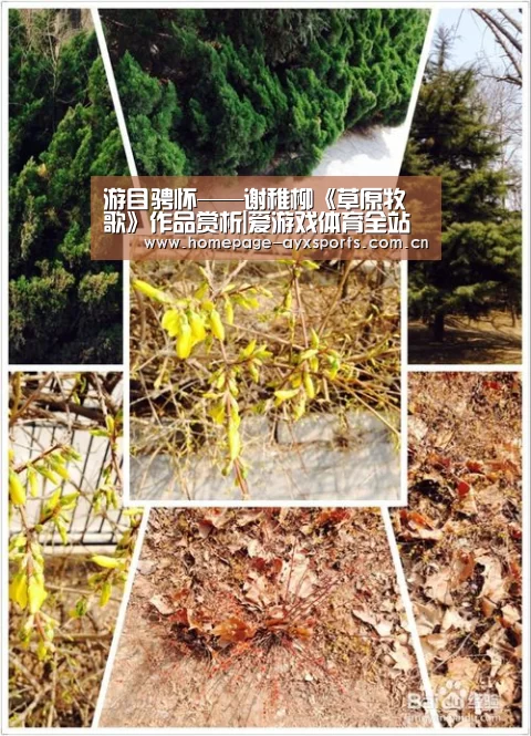 游目骋怀——谢稚柳《草原牧歌》作品赏析|爱游戏体育全站(图3) 爱游戏官网
