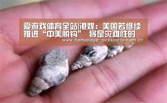 爱游戏体育全站|港媒:美国若继续推进“中美脱钩” 将是灾难性的(图1) 爱游戏官网