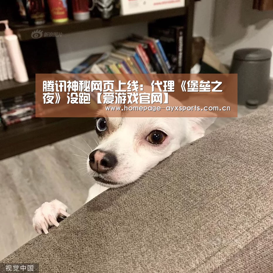 爱游戏体育直播