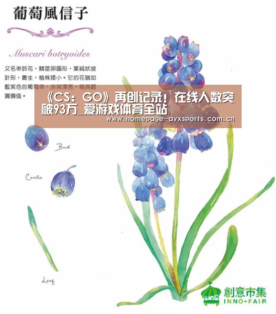 爱游戏体育直播