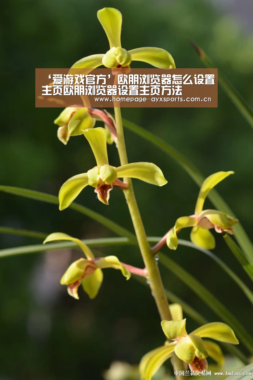 爱游戏官网