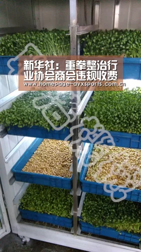 新华社:重拳整治行业协会商会违规收费乱象【爱游戏体育全站】(图3) 爱游戏体育直播