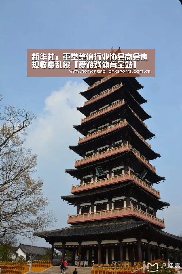 新华社:重拳整治行业协会商会违规收费乱象【爱游戏体育全站】(图4) 爱游戏官方