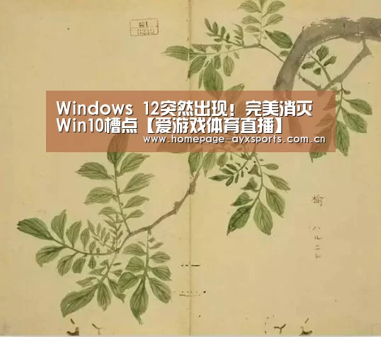 Windows 12突然出现!完美消灭Win10槽点【爱游戏体育直播】(图1) 爱游戏官网